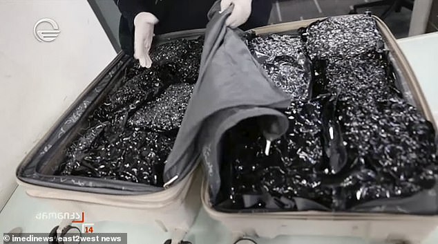 Alleged suitcase of British citizen Bella May Culley, 18