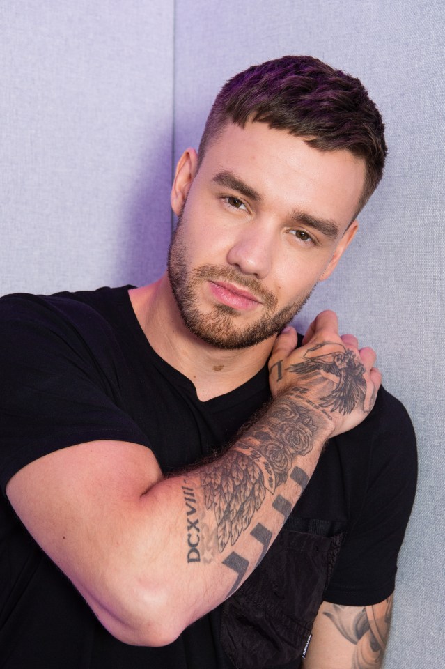 Liam Payne at the UK premiere of "All Of Those Voices."
