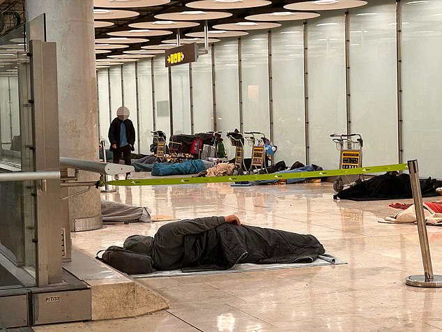 The number of ¿unauthorised occupants¿ - as they are called by the authorities - at the newly-dubbed ¿zombieland¿ airport has gone from around 50 to almost 500
