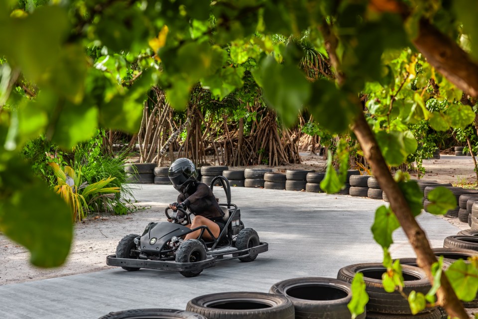 Person driving a go-kart on a tropical track.