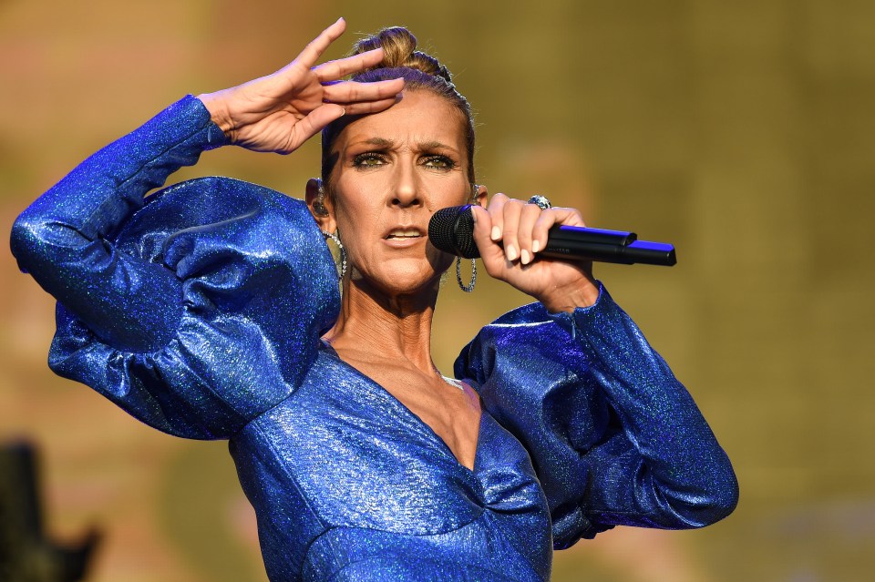 Celine Dion performing live.