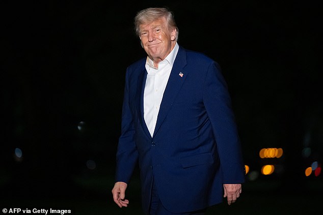 Trump, 78, said he would follow the Putin call with conversations with Ukrainian President Volodymyr Zelensky and 'various leaders of NATO'