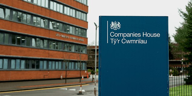 She is listed at Companies House as a director of Lujamen Ltd, a firm linked to Jiamin Lu, a 30-year-old businessman based in Guangdong, China , who sells second-hand electrical items online