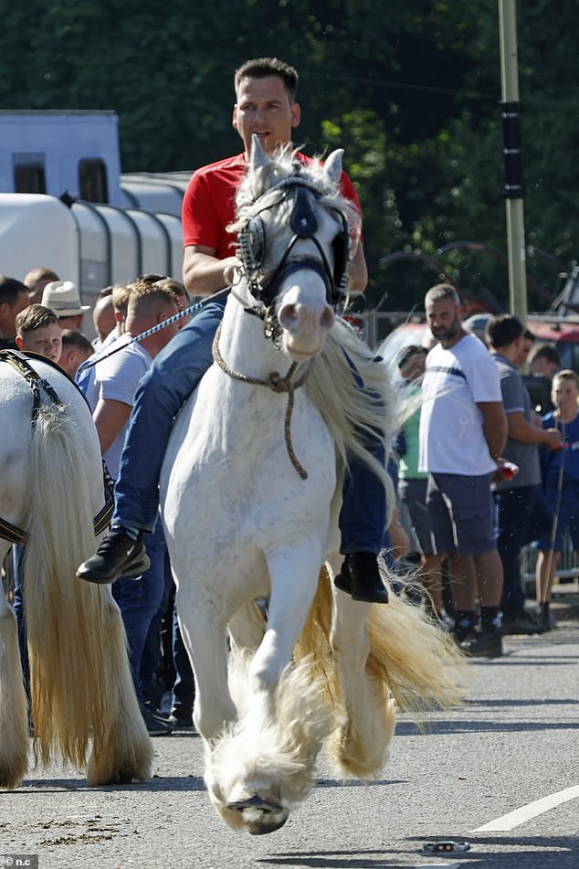 The fair takes place every year and is an opportunity for the travelling community to sell and trade horses and meet up with family and friends (2024's event)