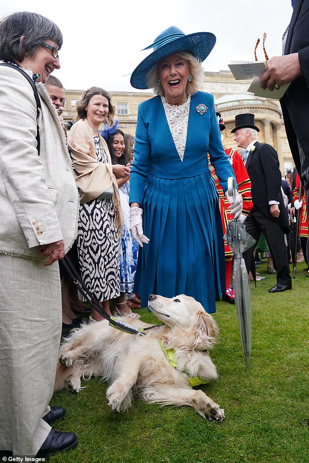 Queen Camilla greets guest Jeanette Binns with her guide dog, Haworth, during The King's garden party at Buckingham Palace on May 7, 2025