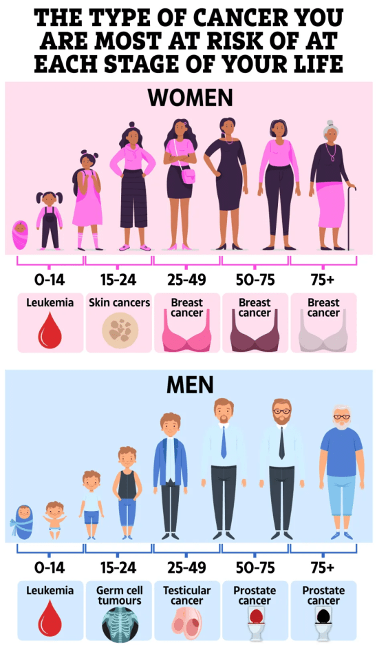 Illustration of cancer risk by age and sex.