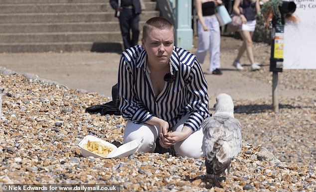 BRIGHTON: From St Ives to Tenby, no seaside town is truly safe from the menace of seagulls, with even hardy locals suffering alongside tourists