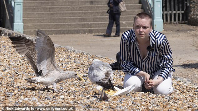 But the most voracious birds were not put off and still took food as soon as our reporter let go of the box
