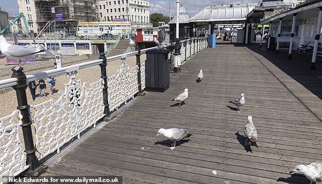 Seagulls frequently amass on the pier in Brighton to keep an eagled-eye on holidaymakers below