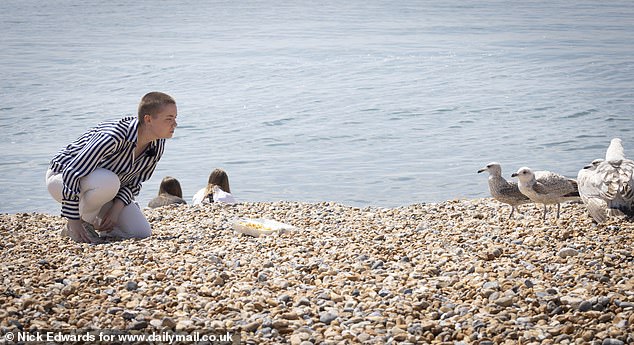 MailOnline reporter Elizabeth Haigh stares down nervous seagulls in Brighton