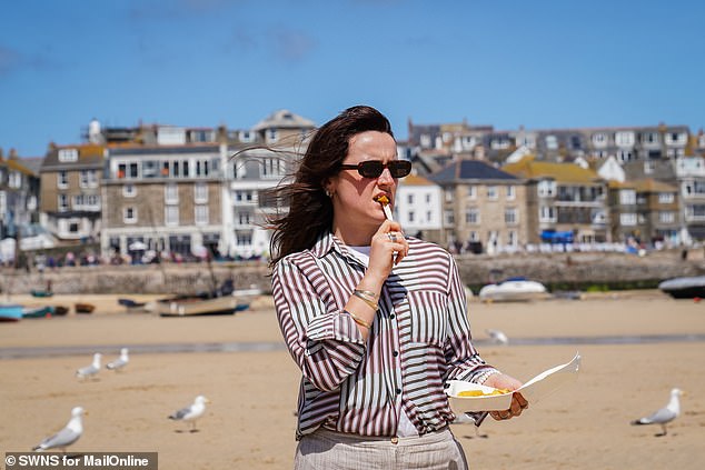 In St Ives, MailOnline found stripes was the most effective method to put off the seagulls