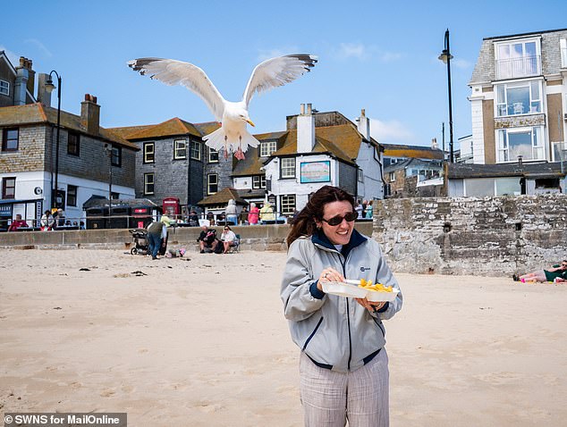 Without using any of Dr Boogert's tips, eating on St Ives beach was a lost cause