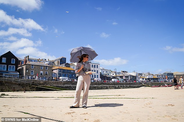 Wearing stripes and using an umbrella put off the gulls in St Ives - although wind made it a challenging feat to sustain