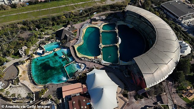 But despite their despairing condition, French authorities have yet to identify a suitable site in Europe for the orcas