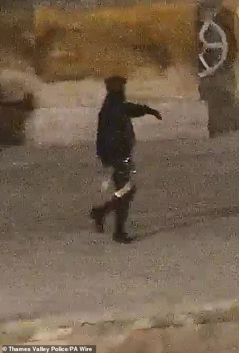 CCTV shows one of the raiders holding a golden toilet seat during the five-minute heist in September 2019