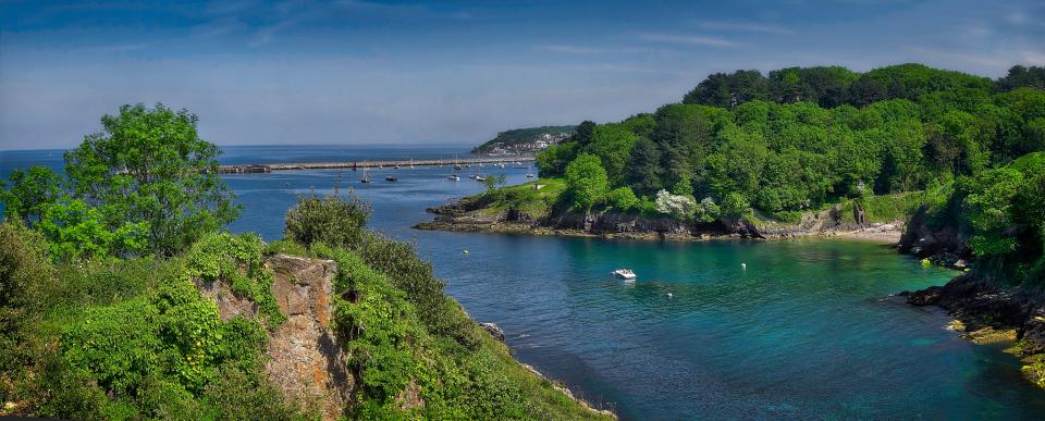 Elberry Cove near Brixham, Devon, with boats and lush green coastline.