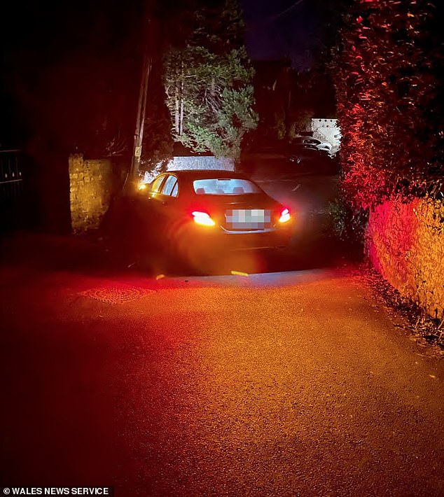 Mr Wallis was disqualified from driving for six months and fined £2,500 after fleeing the scene and not reporting the crash
