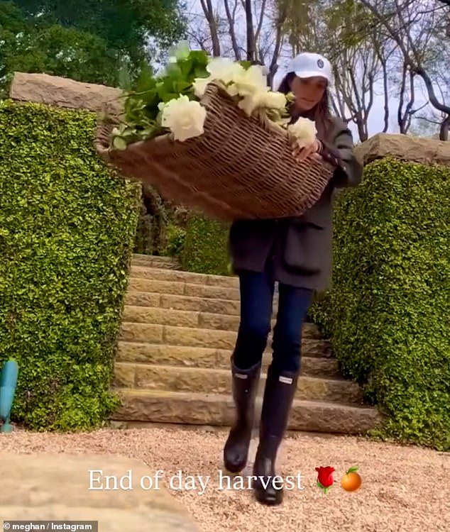 Meghan posted a video of her carrying a huge basket of white roses in her Montecito garden
