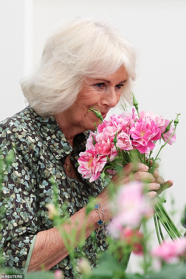 Queen Camilla smells roses called "The King's Rose", of David Austin Roses