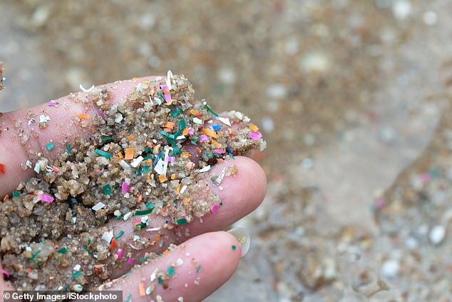Microplastics are small plastic pieces that are less than 5mm in size and insoluble in water