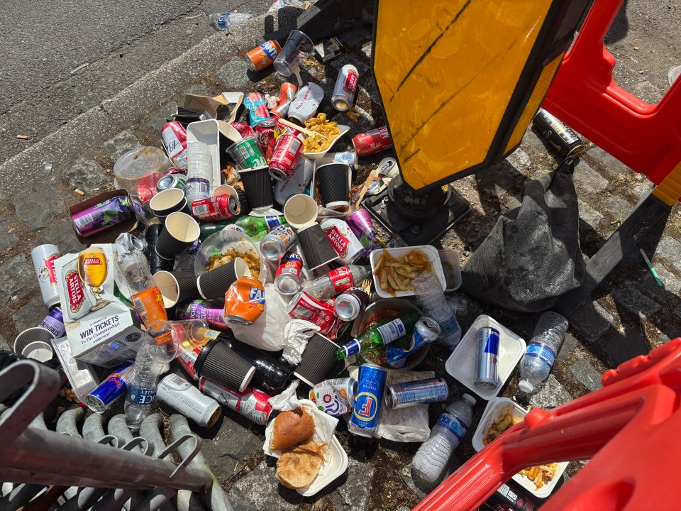 Litter on the ground after a horse fair.