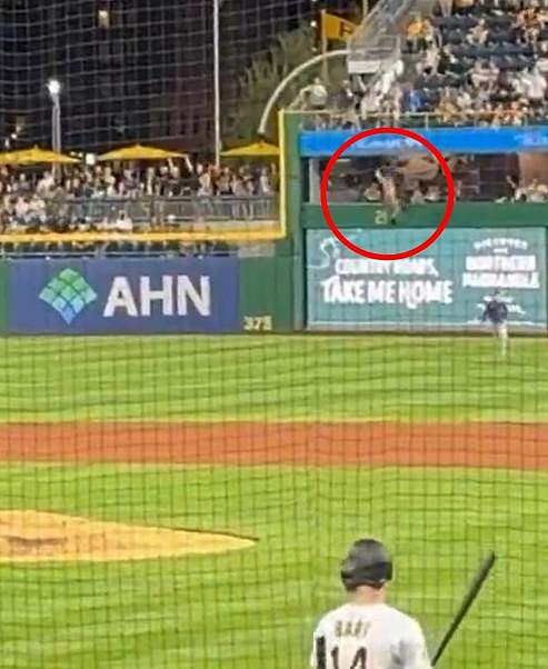 Markwood, 20, went tumbling over the wall and crashed onto the field in a horrifying moment