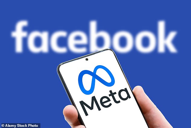 MPs on the Treasury committee heard that latest data shows that three quarters of such cases originated online and 60 per cent were connected to Meta, which owns Facebook and Instagram