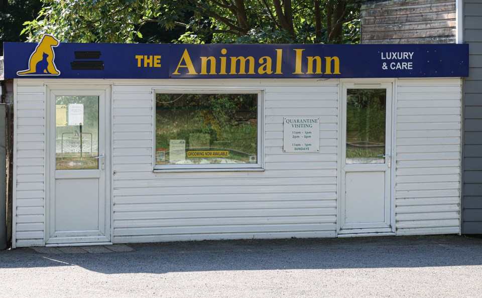 The Animal Inn, a pet quarantine center with grooming services.
