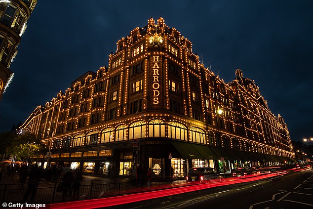 The successful candidate will also be expected to visit Harrods once a month 'to purchase new toys for the cat'. Pictured: Harrods department store in London