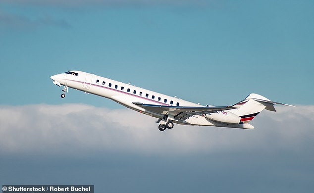 A luxury private jet company in London is recruiting a 'personal assistant' whose job will be to care for an office cat apparently well accustomed to living the high life (Stock image)