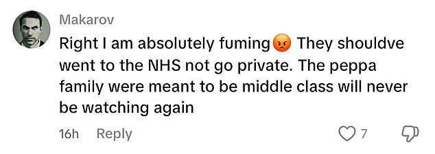 Peppa Pig fans have questioned why the family opted for private care over using the NHS