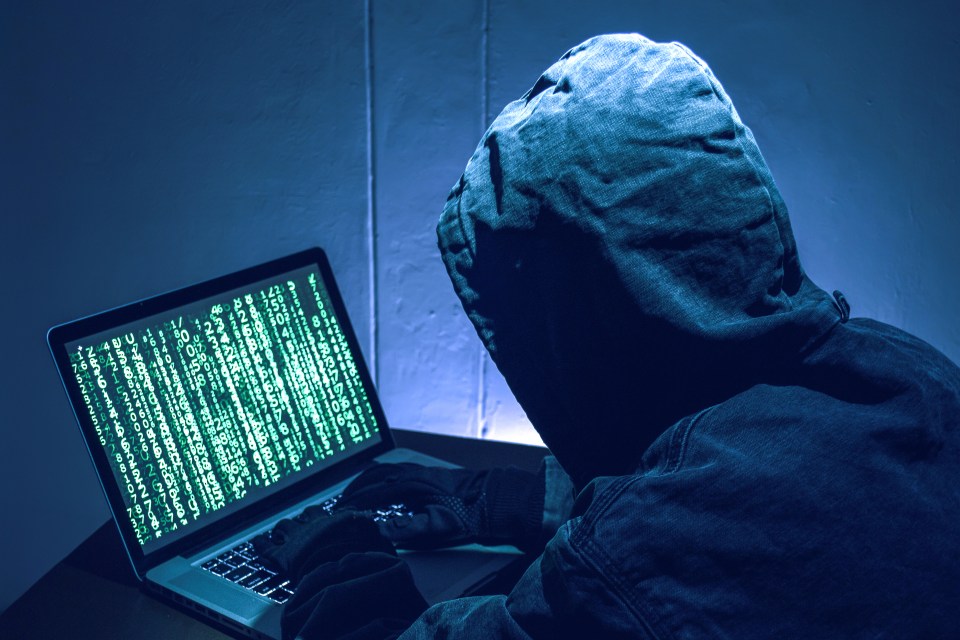 Hooded figure using laptop displaying binary code, identity theft.