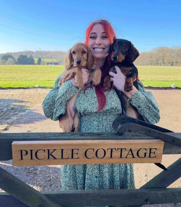Stacey Solomon reveals she's got a new rescue dog two weeks after death of pooch Theo,