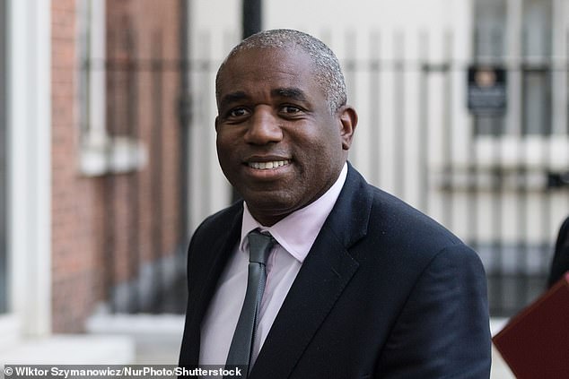 It comes as Foreign Secretary David Lammy this week condemned the intensifying military campaign in Gaza as 'morally indefensible' and announced the UK would be halting trade negotiations with Israel
