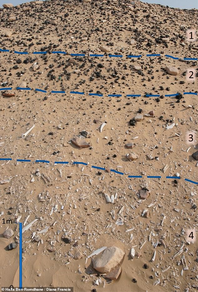 Layers at the site show bedrock, sand dunes, and patches of gypsum, with plenty of artifacts, ancient metal waste, and animal bones found throughout