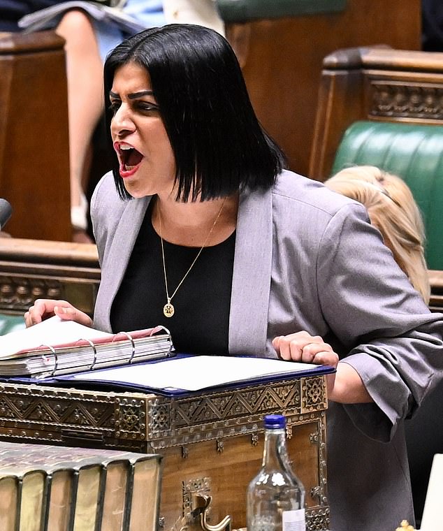 The sentencing review commissioned by Justice Secretary Shabana Mahmood (pictured) contains a raft of soft-justice measures designed to cut the number of criminals in our prisons