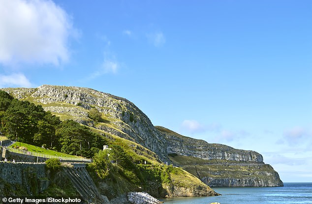The 'Cryptic Creatures of the Creuddyn' project is surveying the moths' limestone habitats on Llandudno's Great Orme headland 9pictured) and in neighbouring areas