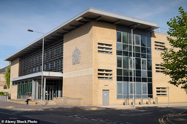 Bird accepted a charge of recklessly or negligently causing or permitting an aircraft to endanger a person or property at Salisbury Magistrates Court in Wiltshire (pictured)