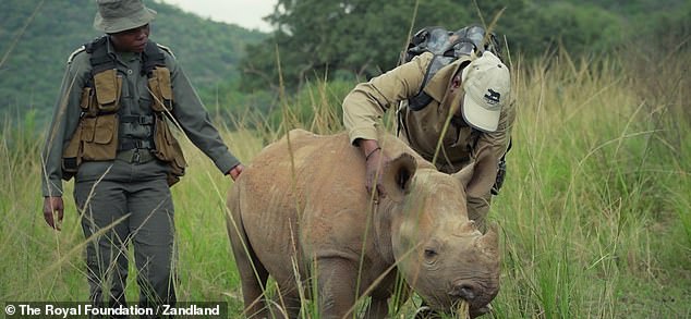 William highlighted the ¿incredible¿ work of environmentalist and film-maker Sir David Attenborough, describing him as a personal ¿inspiration¿ growing up