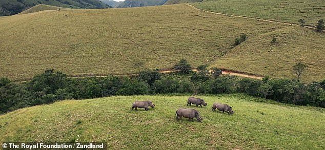 'This is now one of the most dangerous jobs on the planet. And really, it shouldn¿t be. We¿re protecting the natural world. It shouldn¿t be dangerous,' the future king said of ranger's work