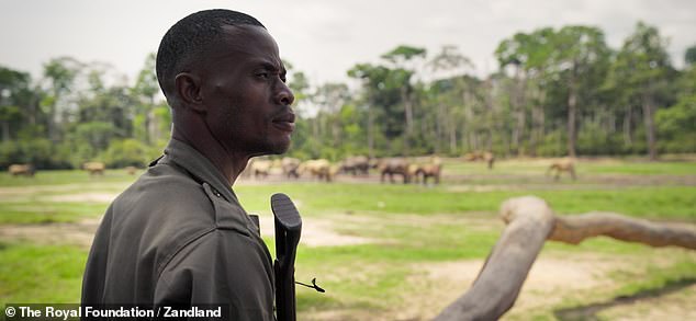 The Prince called rangers of the world our 'unsung heros'