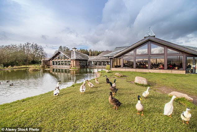 The Westmorland Family brand saw three of its service stations make the top five in the Which? survey (Pictured: Tebay on the M6)
