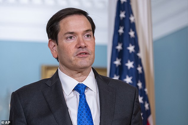 Secretary of State Marco Rubio has been serving as national security adviser since the ouster of Waltz