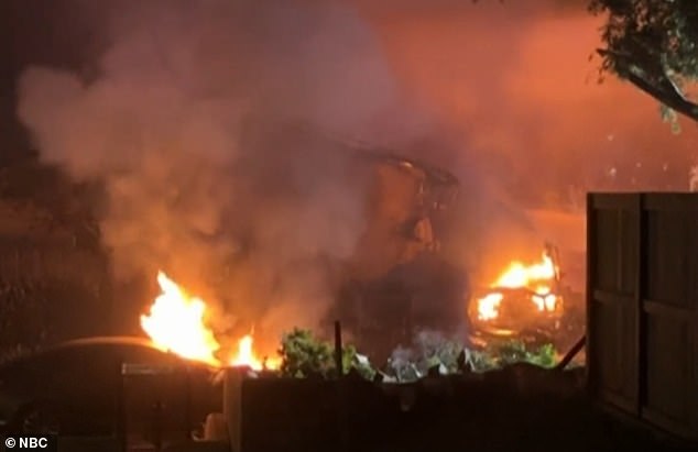 The plane never made it to its final destination of San Diego's Montgomery-Gibbs Executive Airport, crashing down in a ball of flames just before 4am local time