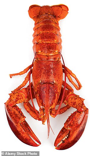 Lobsters in LA were a challenge to eat