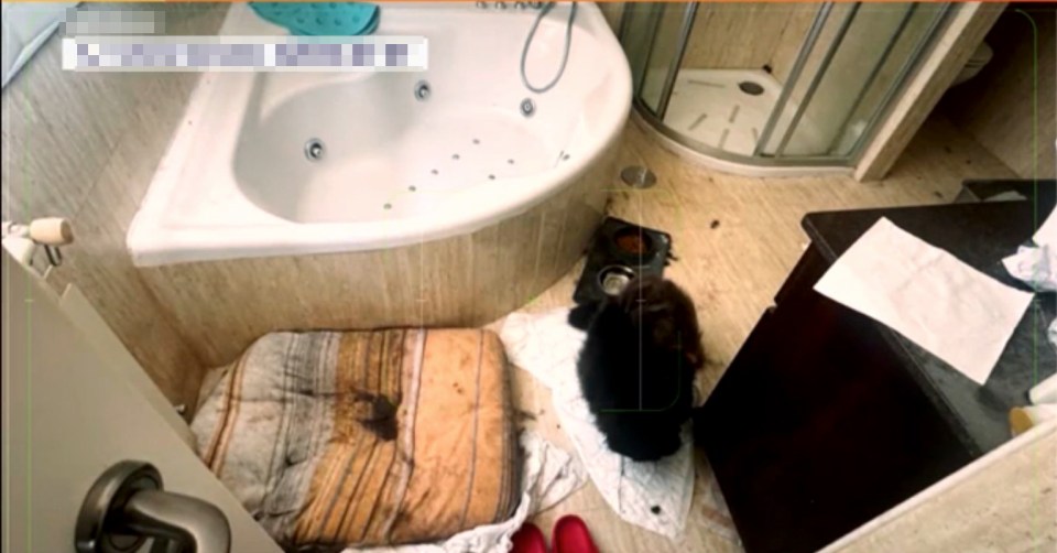 Photo of a dirty bathroom with a dog and soiled pet bed.