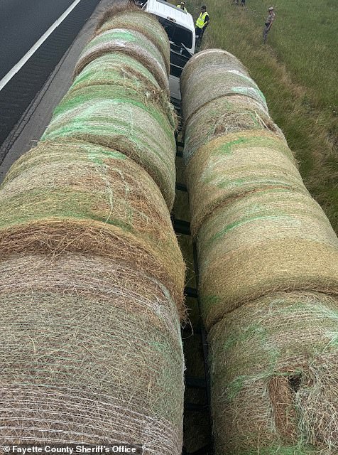 The disturbing discovery was made on Monday afternoon when Fayette County Drug Interdiction Sergeant Thumann pulled over a white Ford F-250 towing a gooseneck trailer loaded with round hay bales on Interstate 10 near Flatonia