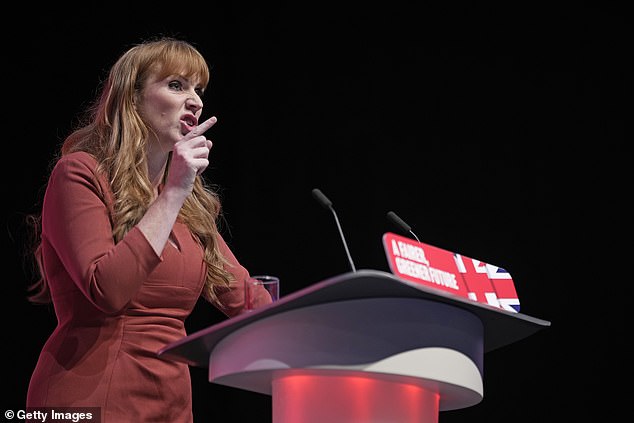 Speculation about Ms Rayner¿s ambitions increased last year when it was revealed that, in July 2022, four internet domain names had been registered by persons unknown. Labour denied the domain names had anything to do with her.