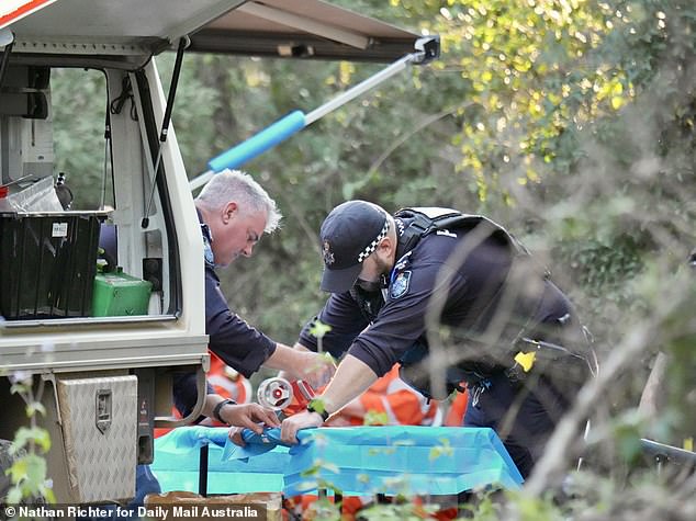 On Saturday, police began conducting a land, water and aerial search of the Good Scrub National Park just outside of Gin Gin, an hour away from where Pheobe was last seen