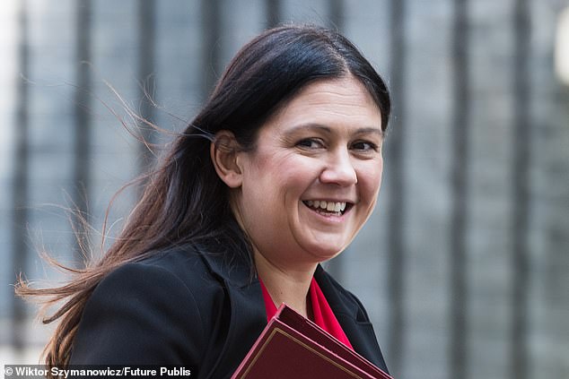 Allies of Mancunian culture secretary Lisa Nandy (pictured) claimed she had been targeted by No 10 chief-of-staff Morgan McSweeney because she had become a Cabinet flag-bearer of the Left by objecting to the Government’s welfare cuts